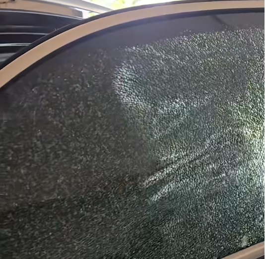 Tallahassee shattered glass